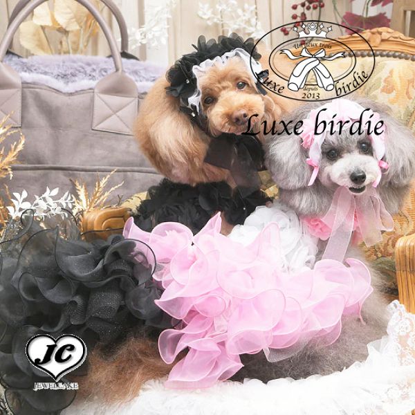 【美品】リュクスバーディ luxebirdie シュクレデニムワンピース S Luxebirdie】シュクレデニムワンピース | ウェア | Fa＊Fa