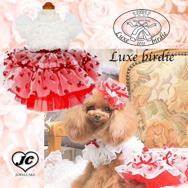 luxe birdie リュクスバーディ　ミナージュドレス♡新品タグ付きSサイズ Luxebirdie（リュクスバーディ）|小型犬とのリュクスな生活を