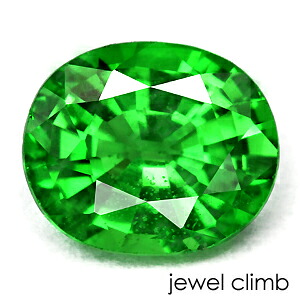 【百貨店SALE執り行なう】\u003cBR\u003e緑であること ガーネット 貴石 ルース ０．７２ＣＴ