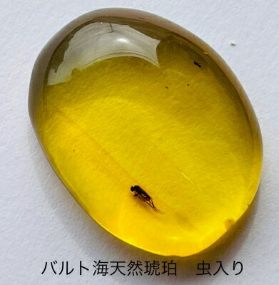 楽天市場】【天然琥珀】琥珀虫入り ルース インセクトアンバー バルト  