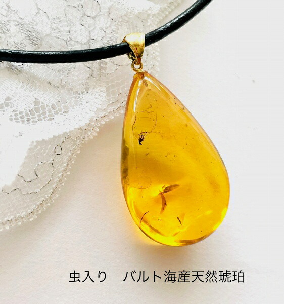 【天然琥珀】【虫入り琥珀】琥珀 ペンダント　こはく　パワーストーン　大きな琥珀ルース　お守り　レザーネックレス付き　 バルト海天然琥珀｜ジュエリーコタニ