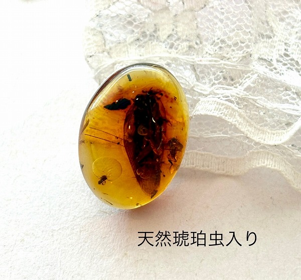 楽天市場】【天然琥珀】琥珀虫入り ルース インセクトアンバー バルト