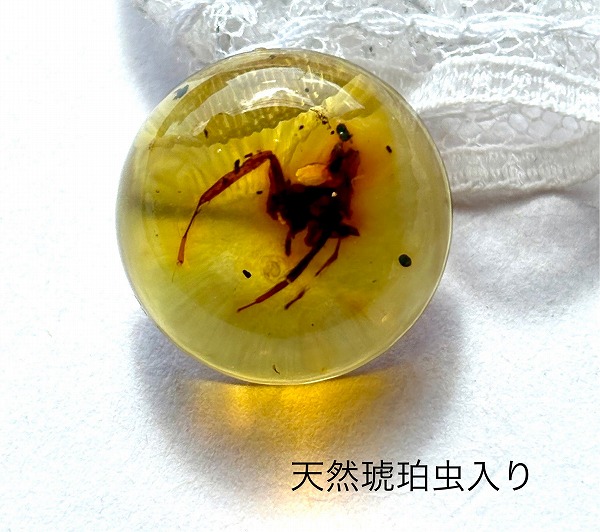 楽天市場】【天然琥珀】琥珀虫入り ルース インセクトアンバー