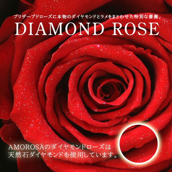 ダイア桜 ローズ倖せ事件 アンティーク ジュエリーケース 送用度無料 戴き物 クリスマス 婚約指輪 指輪 ネックレス ピアス 末広 今時だけ代引手数料無料 Abtt Dk