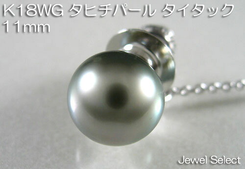 K18WG ホワイトゴールド K18 イエローゴールド PT900 プラチナ タイタック 極上南洋パール(黒蝶貝)11mm前後 アコヤ真珠8.5mm前後|Jewel Select