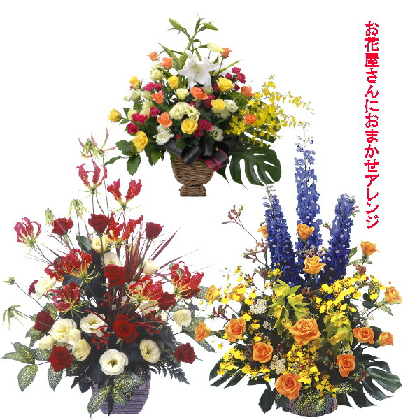 【おフローリストさんにおまかせ取りあわせるです】喜び事・お生まれ落ちる日・一緒になるお祝・生み出すことお祝・開店お祝・一緒になる不死化日・畏まり・告げ知らせる会・受かる祝など 花・ガーデン・DIY-フラワーアレンジメント-花・観葉植物