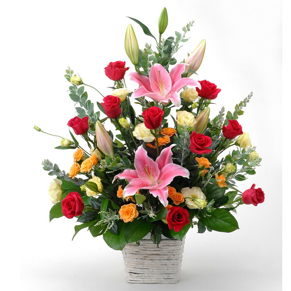 豪壮なアレンジメント 薔薇 小ゆり お御祭り お生まれ落ちる日取り 嫁入るお祝 製造お祝 回付祝い 開店祝い 開業祝い 結婚記念日 謝礼 上演宴 陽気のお全盛 変化プレゼント おとな式 バレンタイン 白デー 退任祝い はいり込む祝いなど Nobhillmusic Com