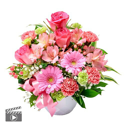 2026母の日/5月10日/母の日ギフト/母の日花/母の日フラワー/母の日カーネーション/バラ/薔薇/【メロディーピュア】【5/8～10の期間中のお届け】