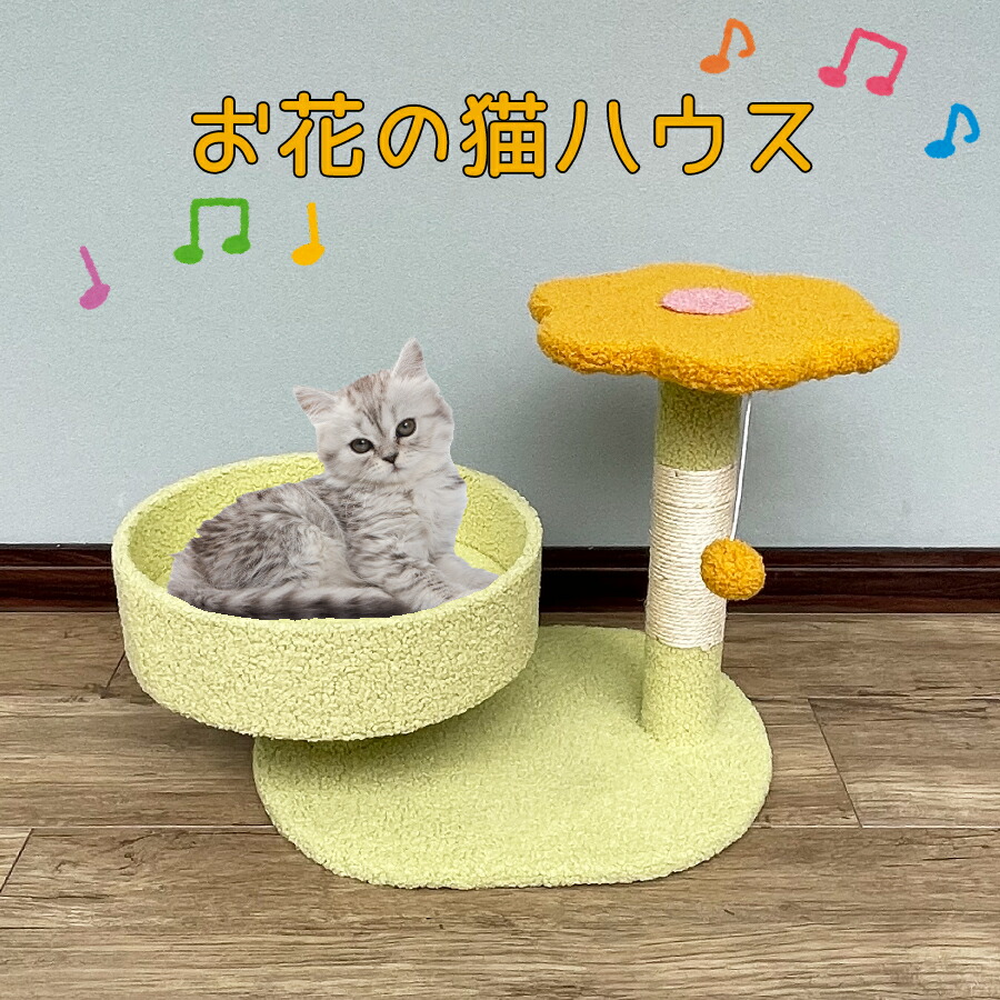 100%正規品 猫 つめとぎ 送料無料 写真映え かわいい ペット用 爪とぎ オールシーズン 据え置き型 丈夫 シンプル 多頭飼い お留守番  安定感抜群 爪とぎポール 小スペース 猫ハウス お花 花柄 賃貸 qdtek.vn