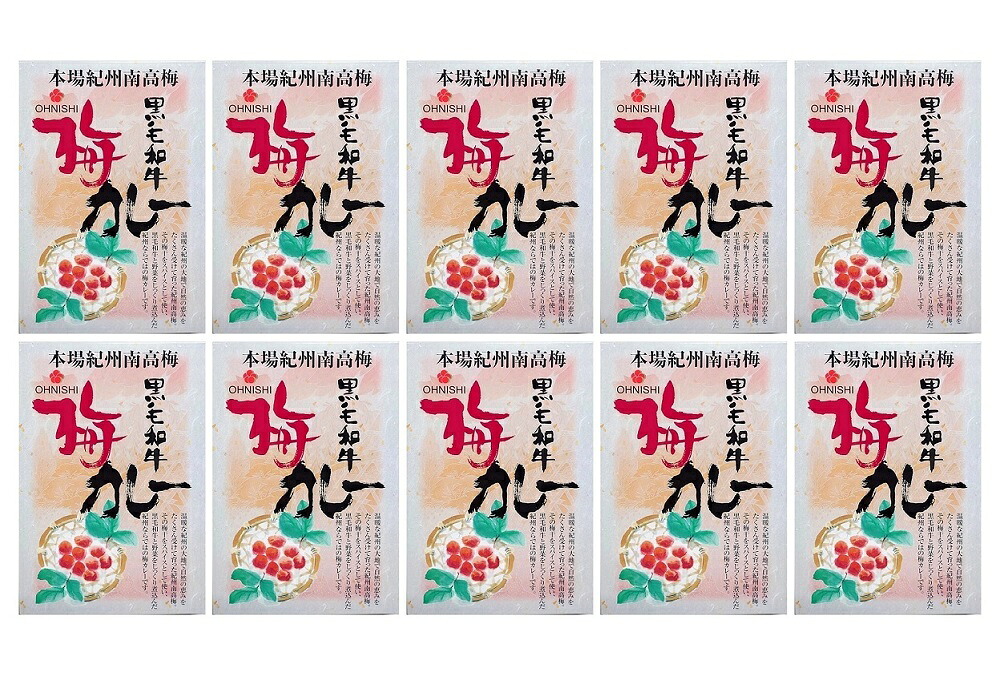 （10箱セット） 大西食品 黒毛和牛 梅カレー 200g（箱入、1人前）×10箱 （まとめ買い・バラ売り） （本場紀州南高梅 梅肉 国産牛肉入り） （レトルト ビーフカレー フルーツ 野菜入り 紀州 和歌山 関西 ご当地カレー）