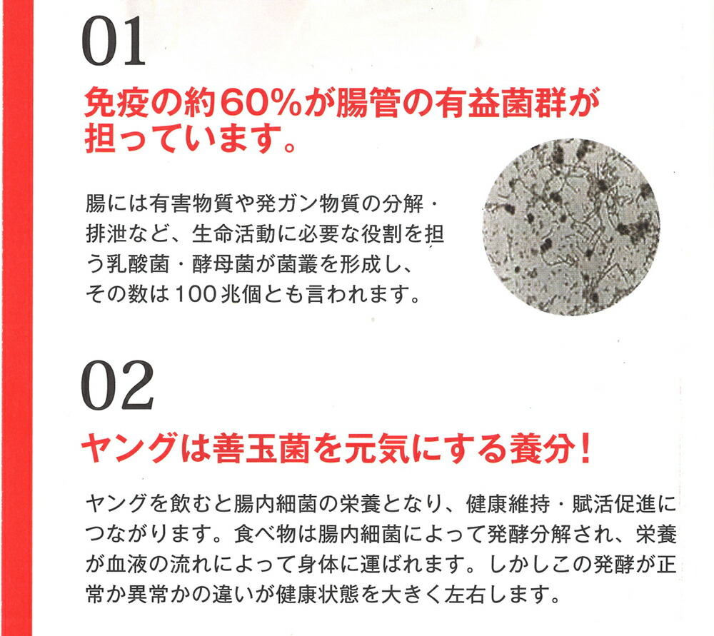 【送料無料】ヤングYoung(濃縮液)180ml【smtb-t】ヤングラインヤング・ラインcuyoung