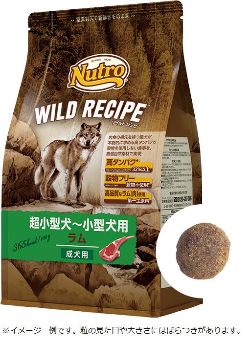ニュートロ　ドライ　ドッグフード 減量用　ラム&玄米　4kg ナチュラルチョイス 210813.jpg