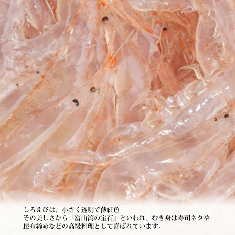【楽天市場】白えび専門店 水文 白えび刺身 200g 冷凍便 富山 名産 名物 しろえび むき身：地場もん通販 楽天市場店