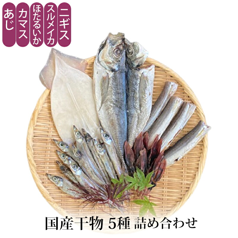 贈答 ギフト 国産 干物 5種 詰め合わせ 冷凍便 メーカー直送 あじ カマス ほたるいか スルメイカ ニギス 干物 送料無料 富山 ダイサン大丸水産