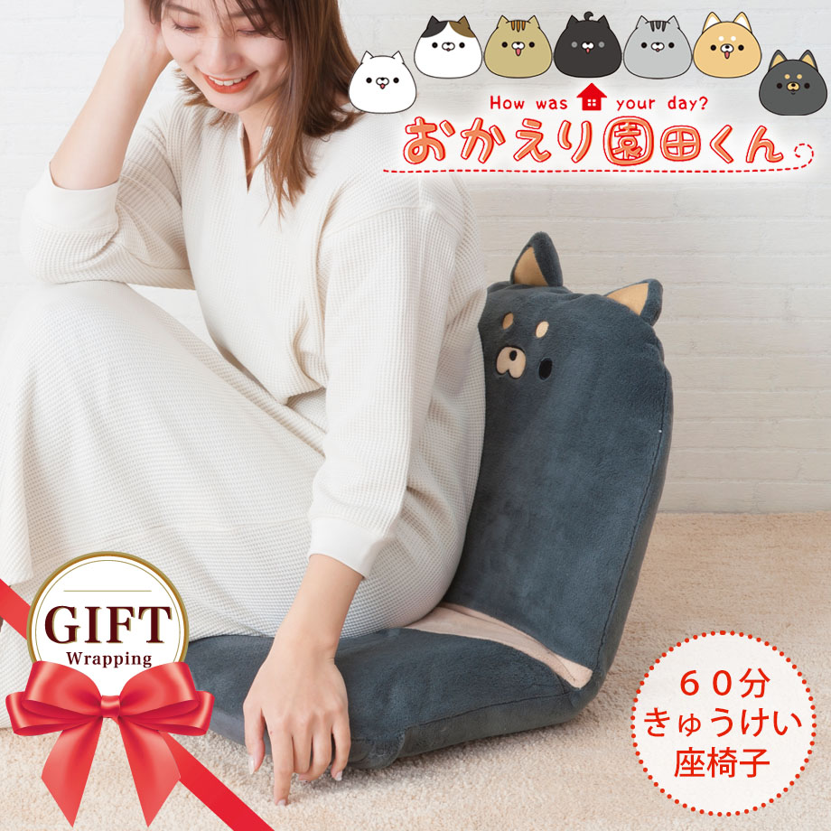楽天市場】＼MAX2000円ｸｰﾎﾟﾝ／おかえり園田くん 60分きゅうけい 座椅子