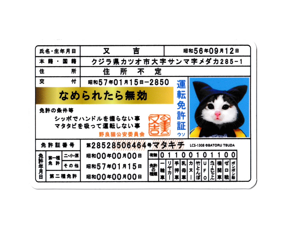 楽天市場】なめ猫 ステッカー かわいい レトロ 昭和 懐かしい 猫