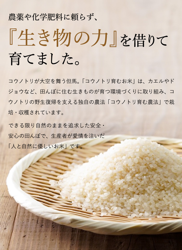 【楽天市場】新米 令和4年産 無農薬 玄米5kg 無化学肥料 送料無料 玄米 無農薬玄米 食べる健康！生命を育む コウノトリ育むお米 有機