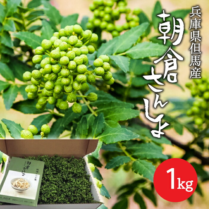 西播磨 朝倉山椒 実 無農薬 サンショウ 農家直送 つむぎ農園 1kg