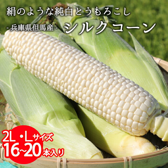 まちゃこさまヤングコーン（追加分） 数量限定 予約販売 鹿児島県産 皮付きヤングコーン 40本 朝獲れ