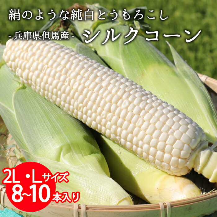 楽天市場】甘みたっぷり 純白コーン 兵庫県産 但馬産 生 シルク