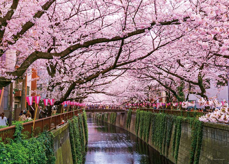楽天市場】ジグソーパズル 渡月橋の満開桜-京都 500ピース 風景 EPO-05