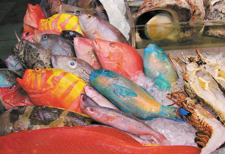 楽天市場 Cut 300 006 食材専科 沖縄 牧志市場 300ピース ジグソーパズル ジグソークラブ楽天市場店