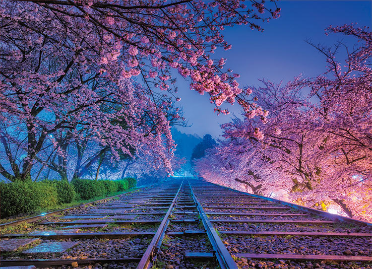 楽天市場】ジグソーパズル 渡月橋の満開桜-京都 500ピース 風景 EPO-05