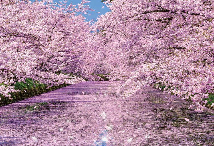 楽天市場 Bev 51 251 風景 弘前公園の桜 1000ピース ジグソーパズル ビバリー パズル Puzzle ギフト 誕生日 プレゼント ジグソークラブ楽天市場店