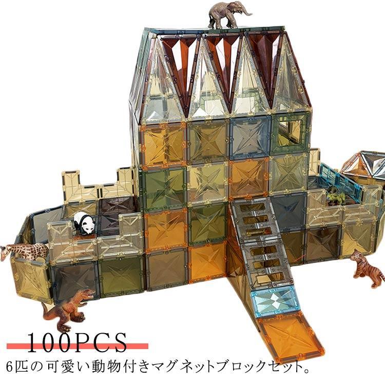 6匹の好いたらしい毛の荒物付き添い人 磁石立ちはだかる 100pcs 立体考えもの 豪然たる 磁気力 羅針盤手あそび 積み木 知育手あそび 派手 知育手あそび 知育立ちはだかる マグカップ