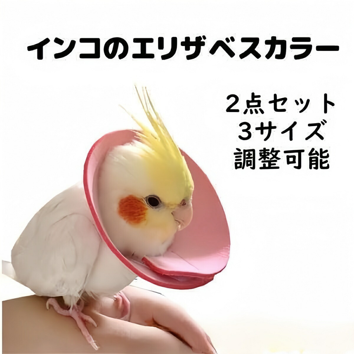 楽天市場】鳥用エリザベスカラー 3枚セット (ソフト ドーナツ 羽根抜き