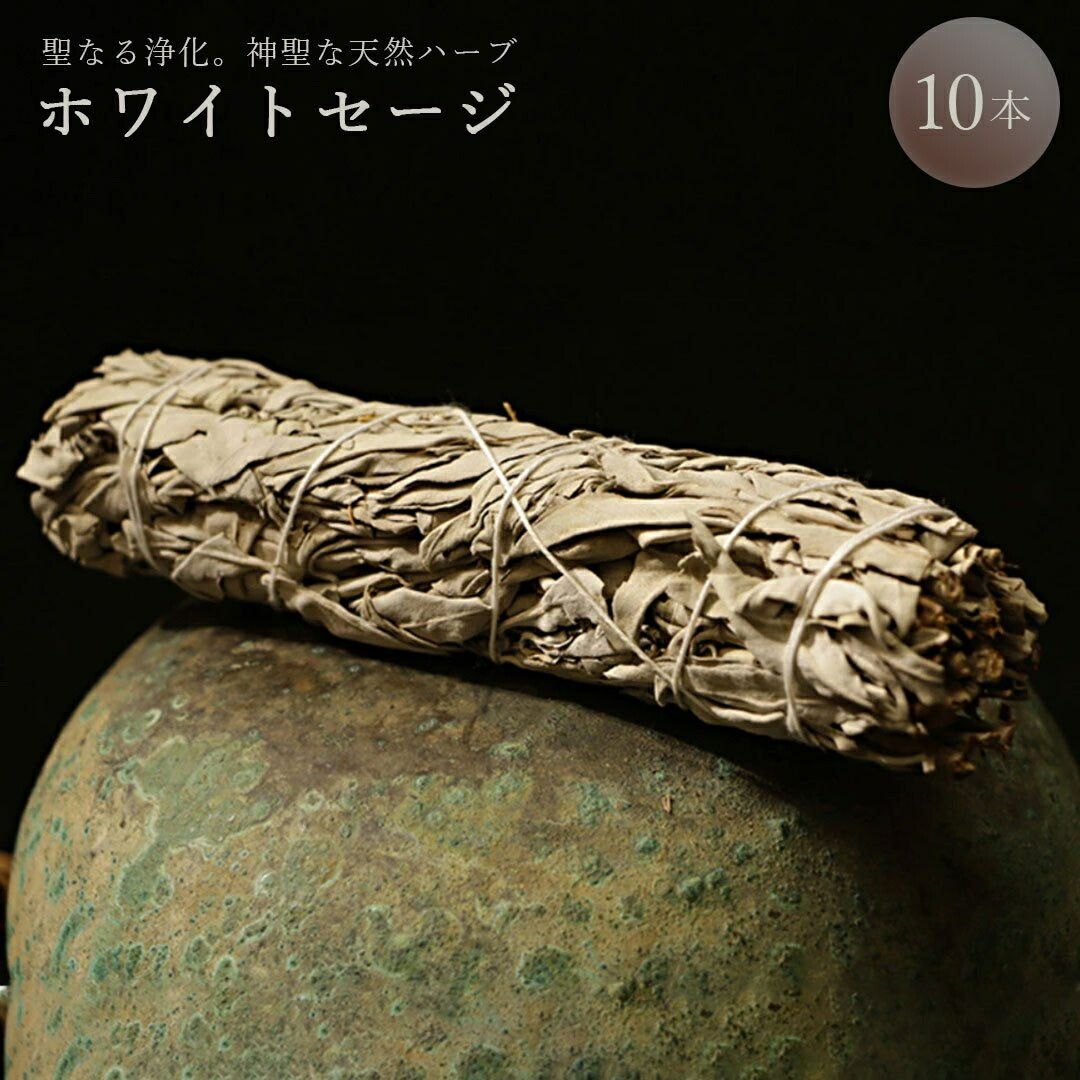 屈託の無い 生まれながら薬草 白いことサルヴィア 10本 聖なる薬草 生まれながら香 思わしい香 お香 芳ばしさ お部屋 口当たり 芳ばしさ 癒し ヒーリング 踵 伸び伸びする成り行き 晴れ晴れしい 落ち着く アジアン