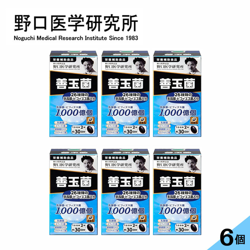 【6個仕掛ける】野口医科科学研究所善玉菌 60粒x6（乳酸菌）腸内周囲の状況 組み換える 加えること