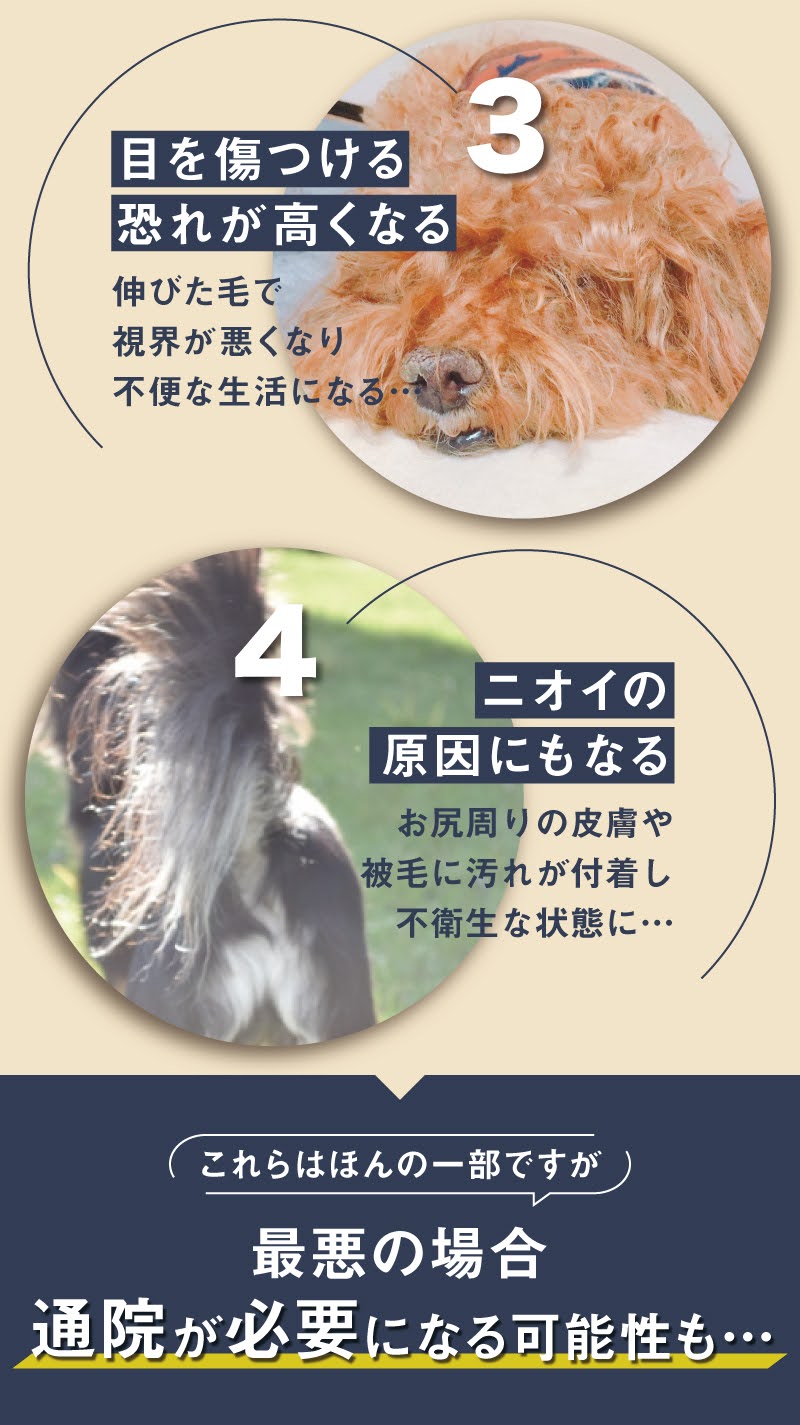 楽天市場 10月30日限定ポイントアップ 楽天ランキング3冠獲得 あす楽 犬 バリカン ペット用 犬用 トイプードル セルフ トリミング 充電式 コードレス プロ仕様 犬 猫 うさぎ トリマー 1年保証 日本語説明書付 お手入れ 水洗い アタッチメント 3mm 6mm 9mm 12mm