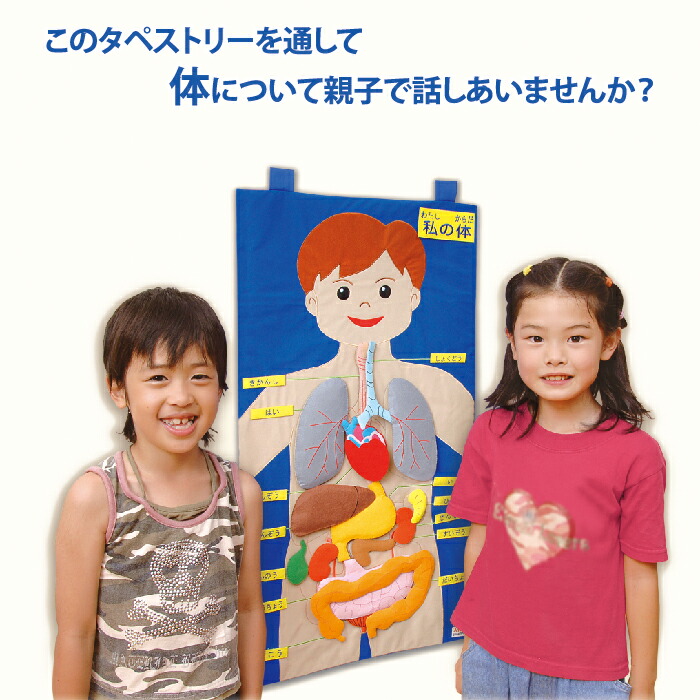 「わたしの体」アラス 布製知育教材 SG-10-003