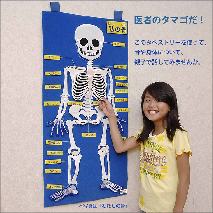 「わたしの骨」アラス 布製知育教材 SG-10-004