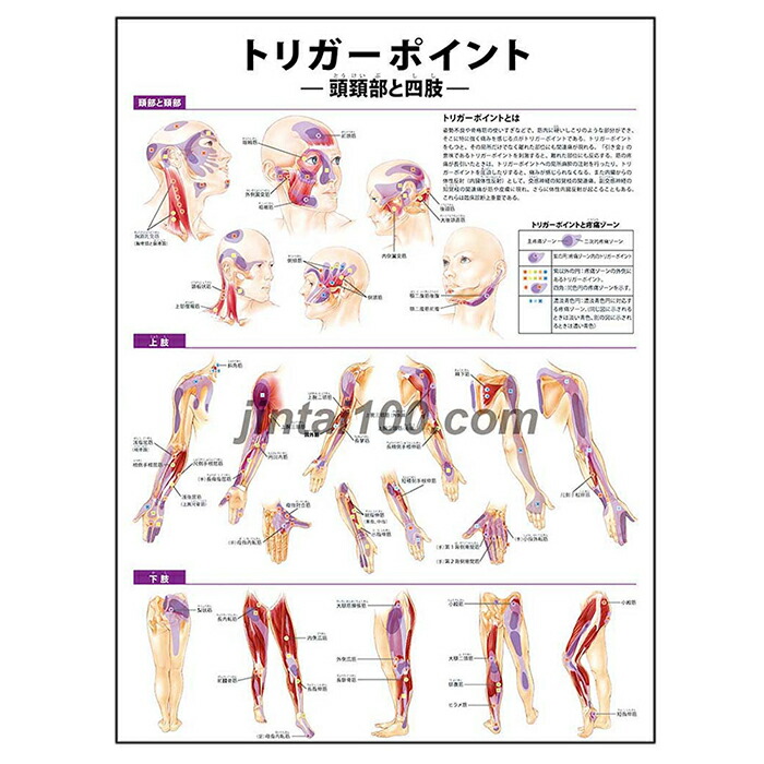 リフレクソロジー ポスター 足 手 耳 153p1-220x220.jpg