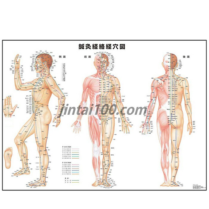 j9950pl.jpg