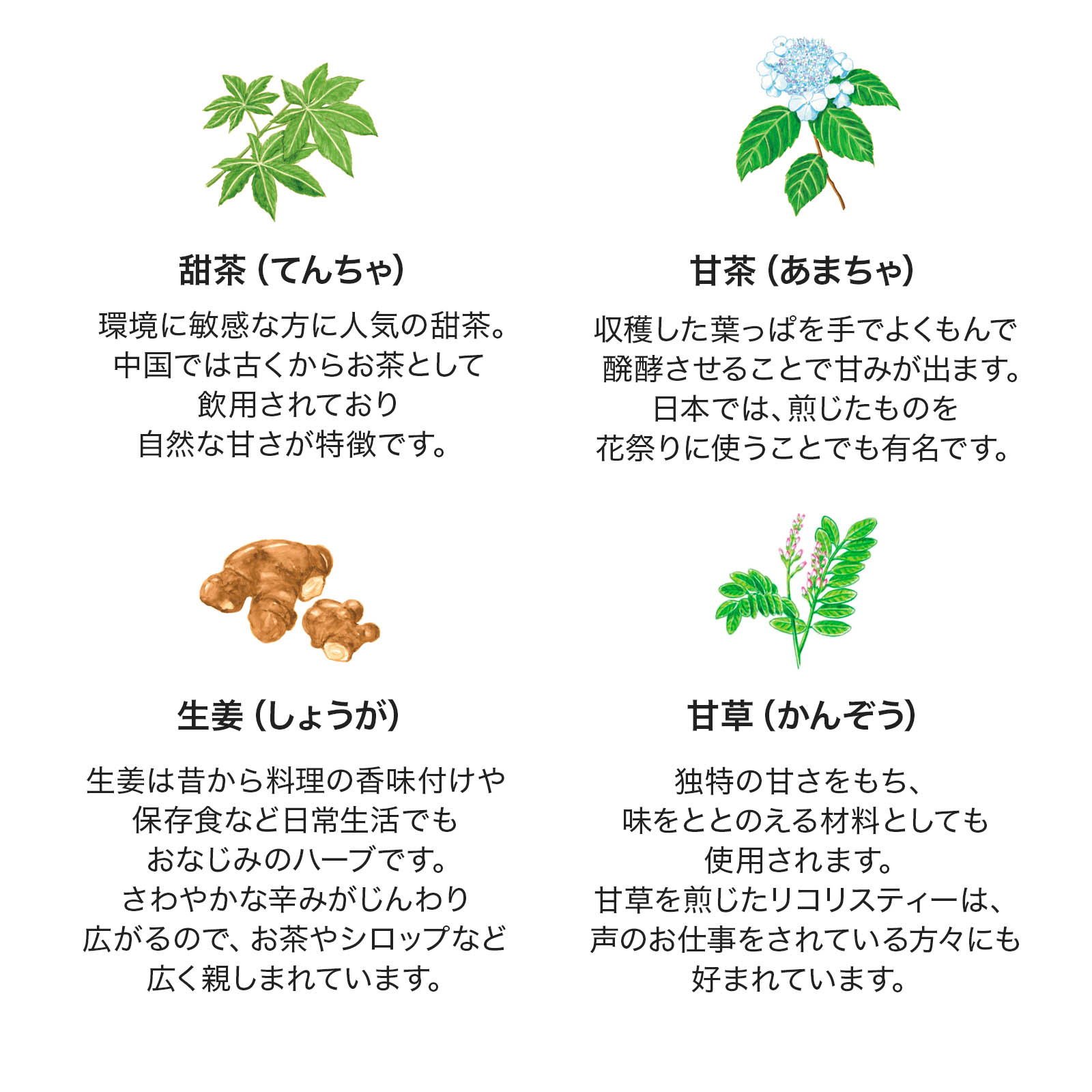 森下仁丹公式】鼻・のど甜茶飴 のど飴 鼻のど甜茶飴 のどあめ あめ アメ メントール のど 飴 ノンシュガー キャンディ キャンディー 甘茶 甜茶 和漢  お取り寄せグルメ おとりよせ まとめ買い