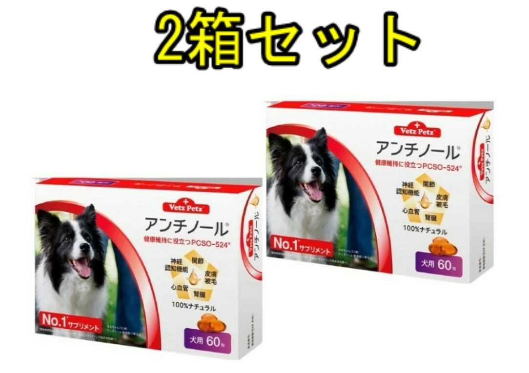 楽天市場】【送料無料】 アンチノール 犬用 60粒 健康 関節 腎臓 心 