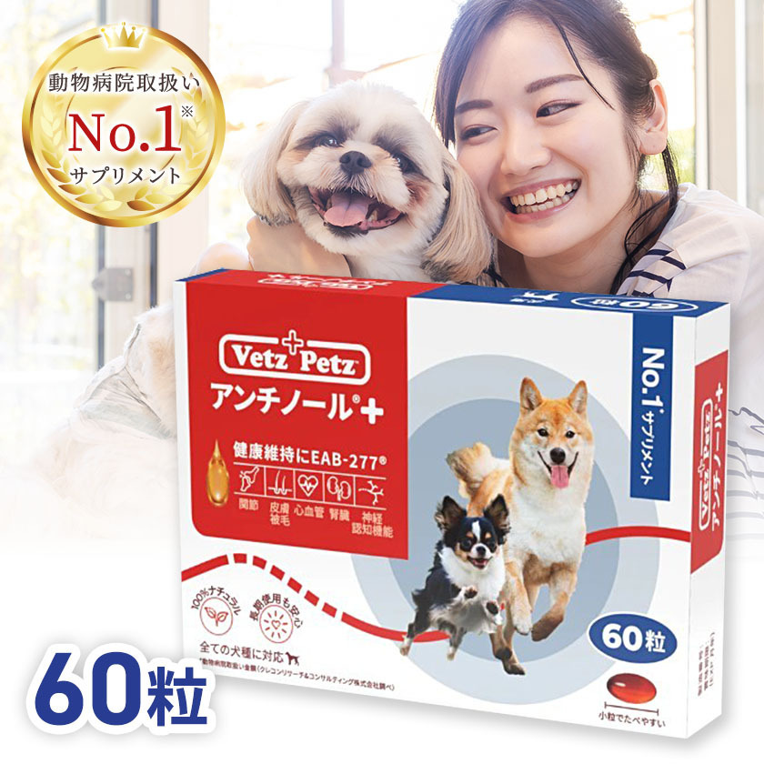 最安価格 犬用アンチノール 60粒 4箱の通販 by Erika's shop｜ラクマ