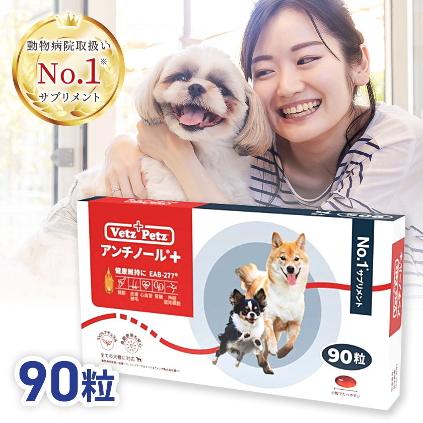 まもなく販売終了 - 犬用アンチノール 60粒 4箱 - クリーニング 通販