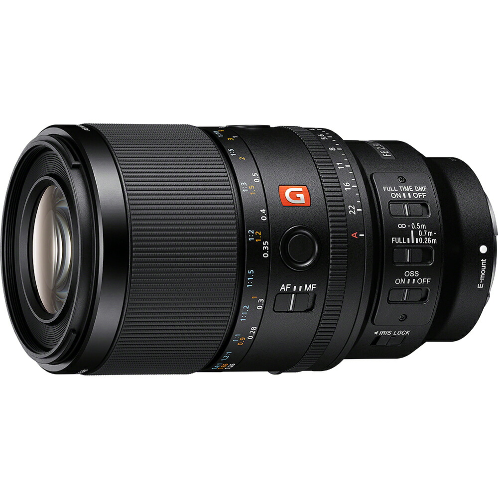 ソニー FE 100mm F2.8 Macro GM OSS SEL100M28GM ※Eマウント用レンズ（フルサイズミラーレス対応）