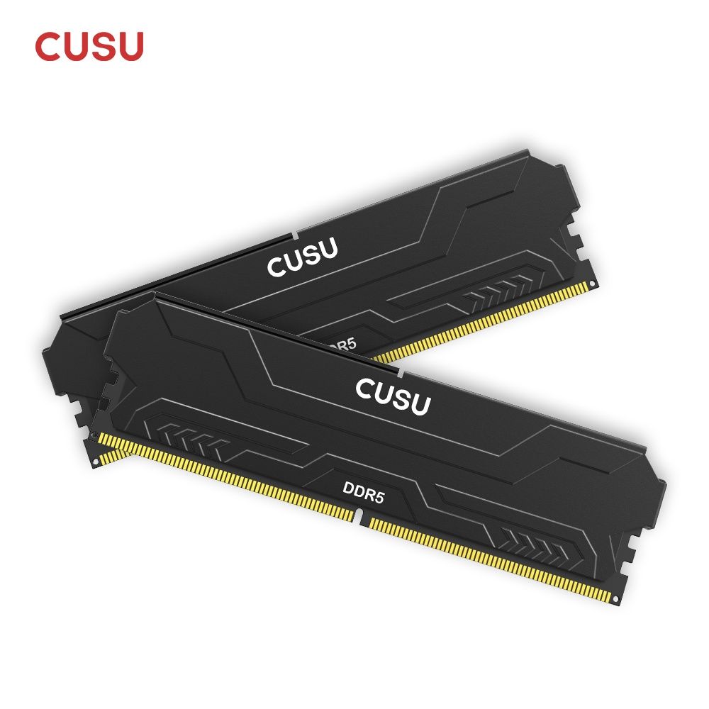 TWSC TWSC CUSU DDR5 4800MHz 32GB(16GBx2) UDIMM CL40 1.1v with heatsink（黒いこと）  DH330480016X2