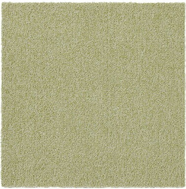 スミノエ(SUMINOE) 身寄り用瓦引っ敷き (40cm×40糎(10枚/CS)) L緑であること 13140957-4-40-40 ソフトフィール(131-40957) RUGRUG [1314095744040]