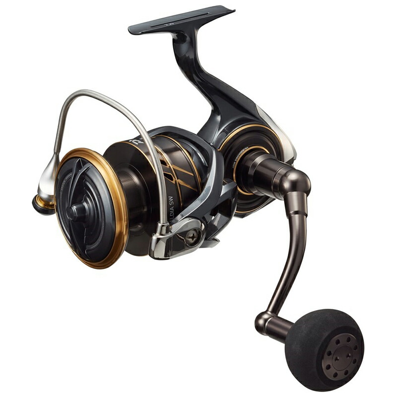 ダイワ 22 カルディアSW 10000-P 22 カルディアSW 10000-P DAIWA 22 CALDIA SW
