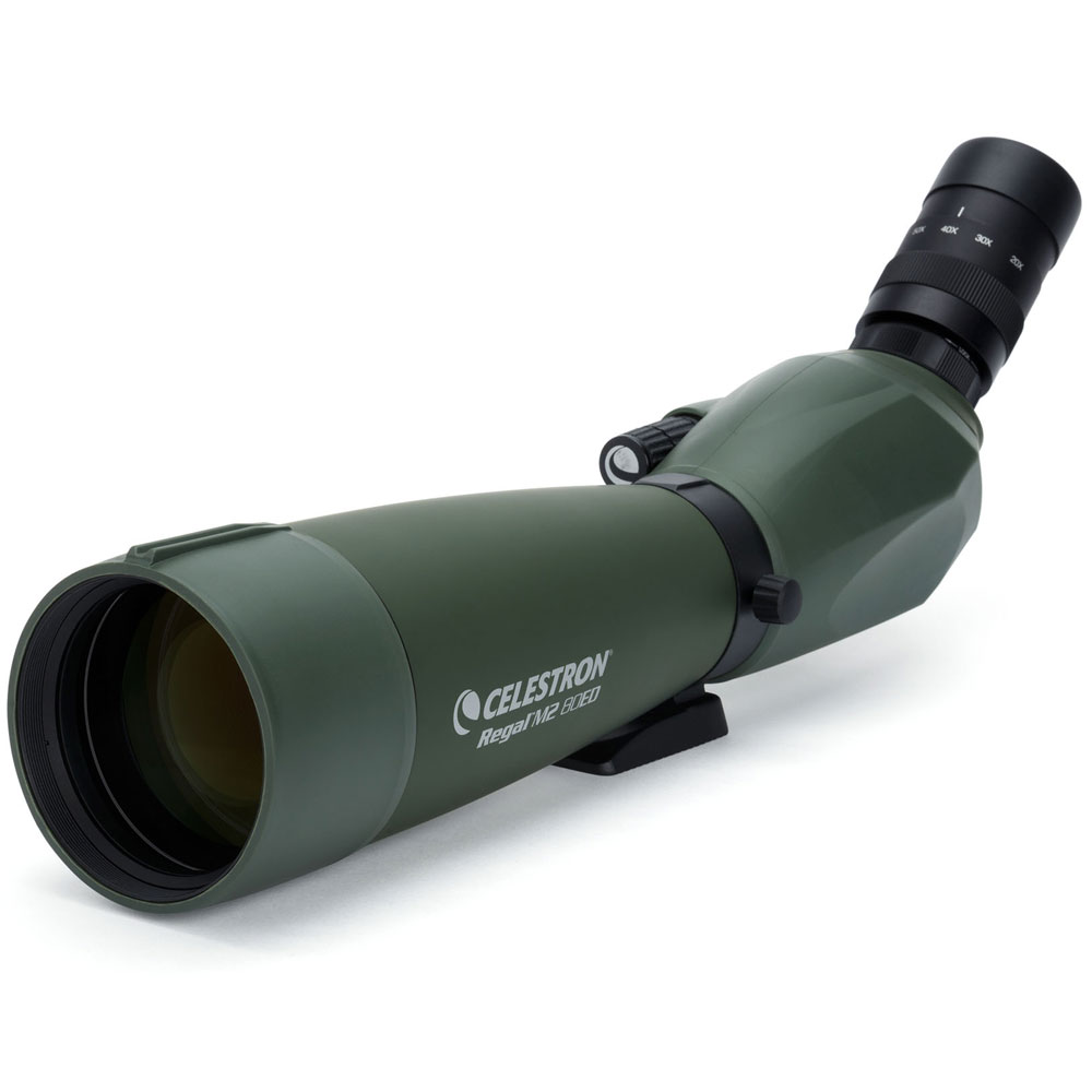 セレストロン Regal M2 20-60&times;80 ED フィールドスコープ CE-BSRL-52305 CELESTRON｜Joshin web 家電とPCの大型専門店