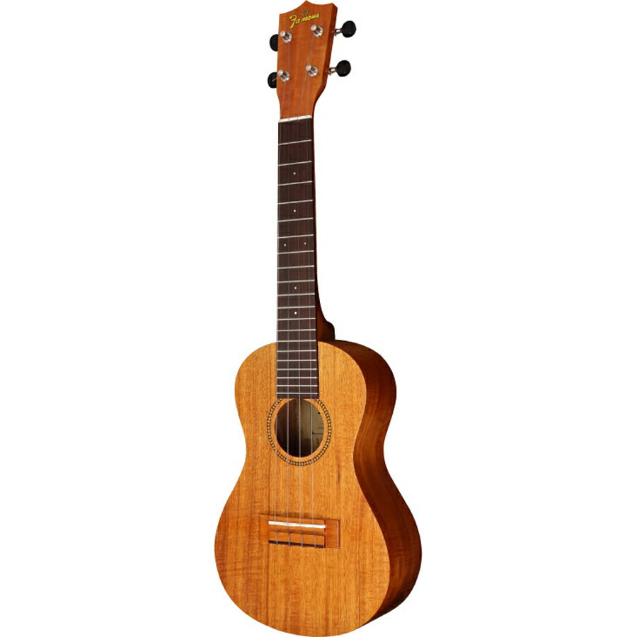 フェイマス コンサートウクレレ FC-4 FAMOUS 46,860円