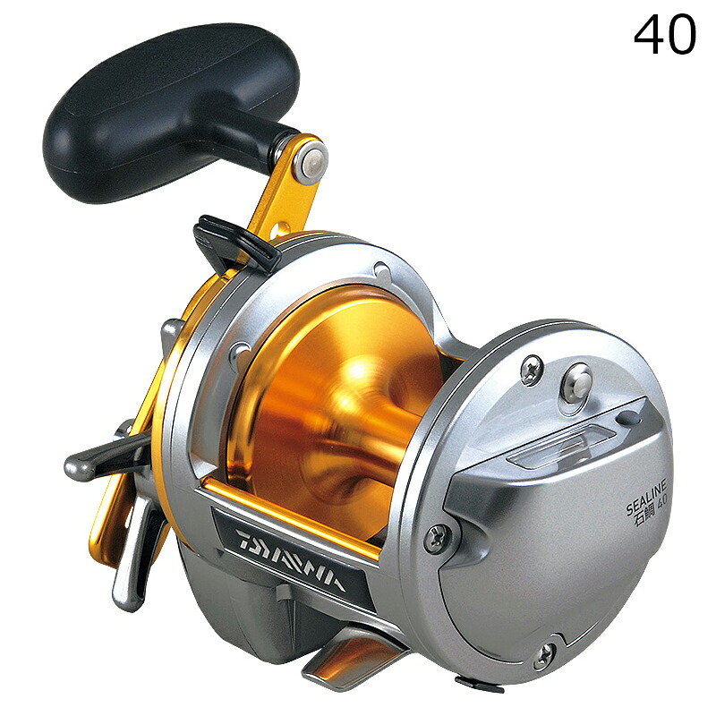 ダイワ 12 シーライン石鯛 40 12シーラインイシダイ40 DAIWA 両軸リール