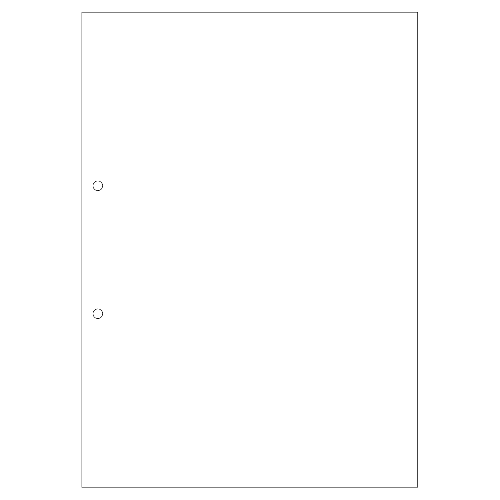ヒサゴ FSC（R）允許 マルチ印刷者帳票 書きうつす印字機 否炭素［A4/2穴/新規まき直し/1200枚］ HiSAGO FSCF2001Z