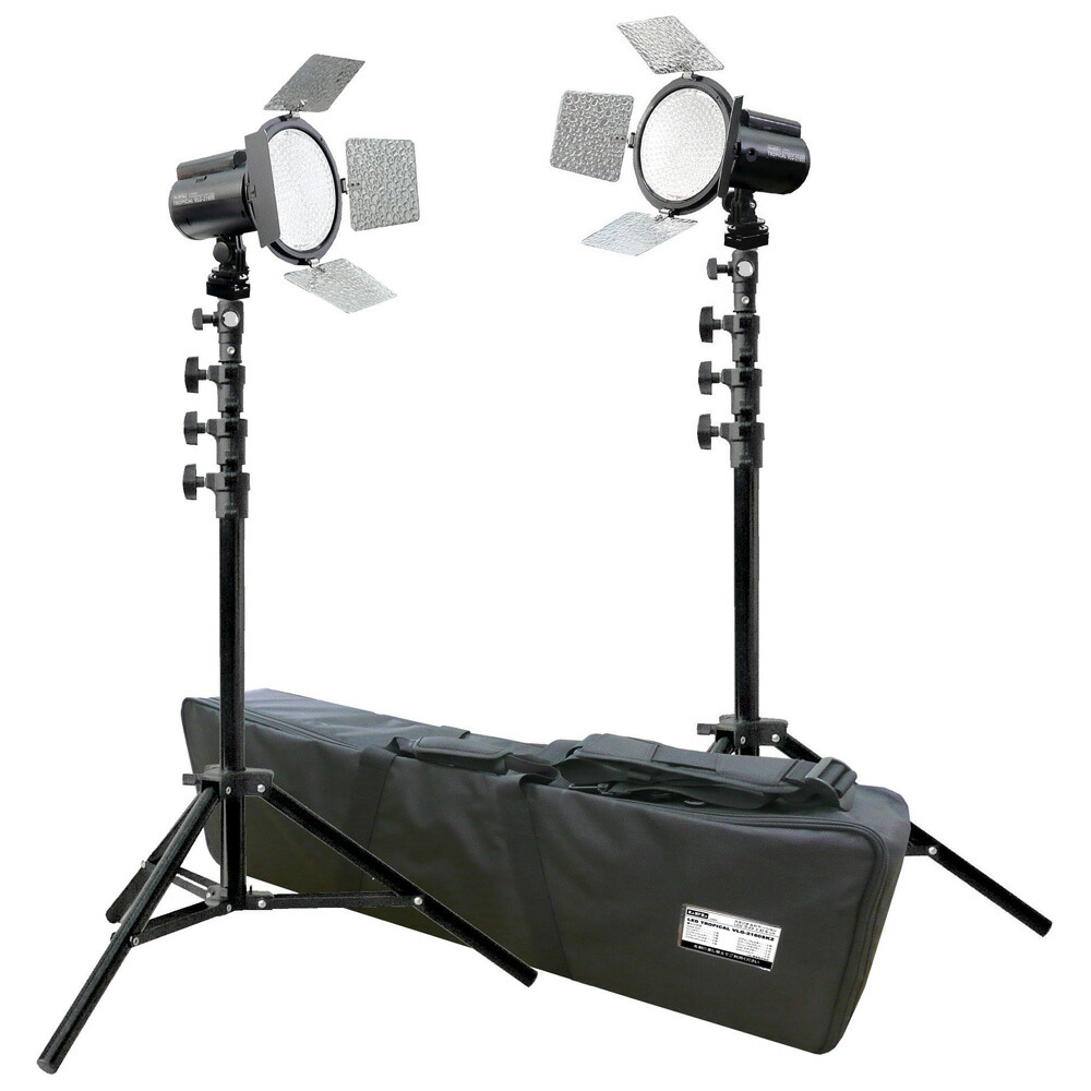 LPL LEDトロピカル「VLG-2160S/SET2」 L26864